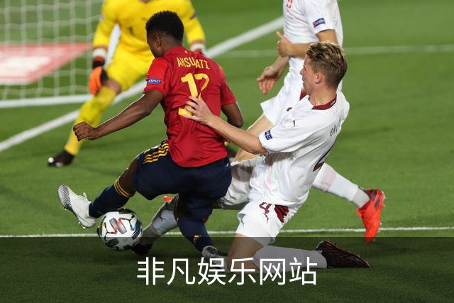 非凡娱乐网站公司简介配图